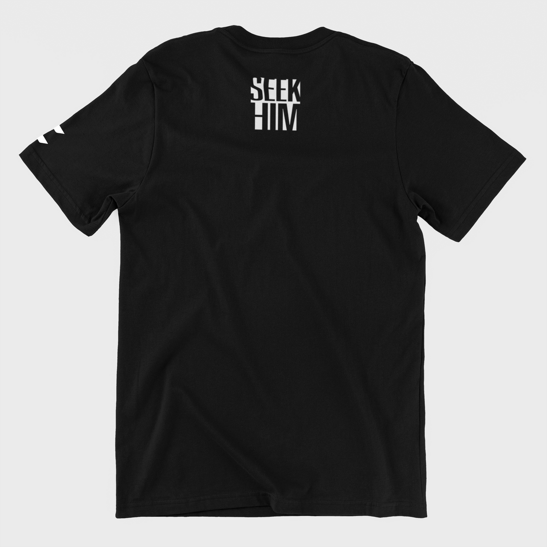 Seek Him Tee